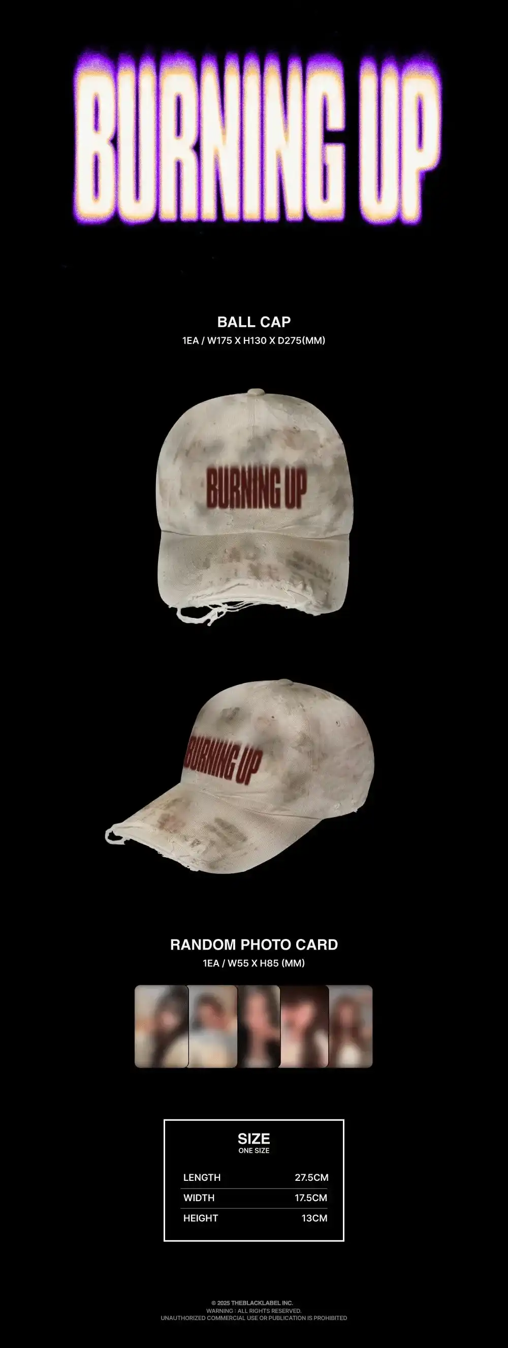 Thumbnail 14